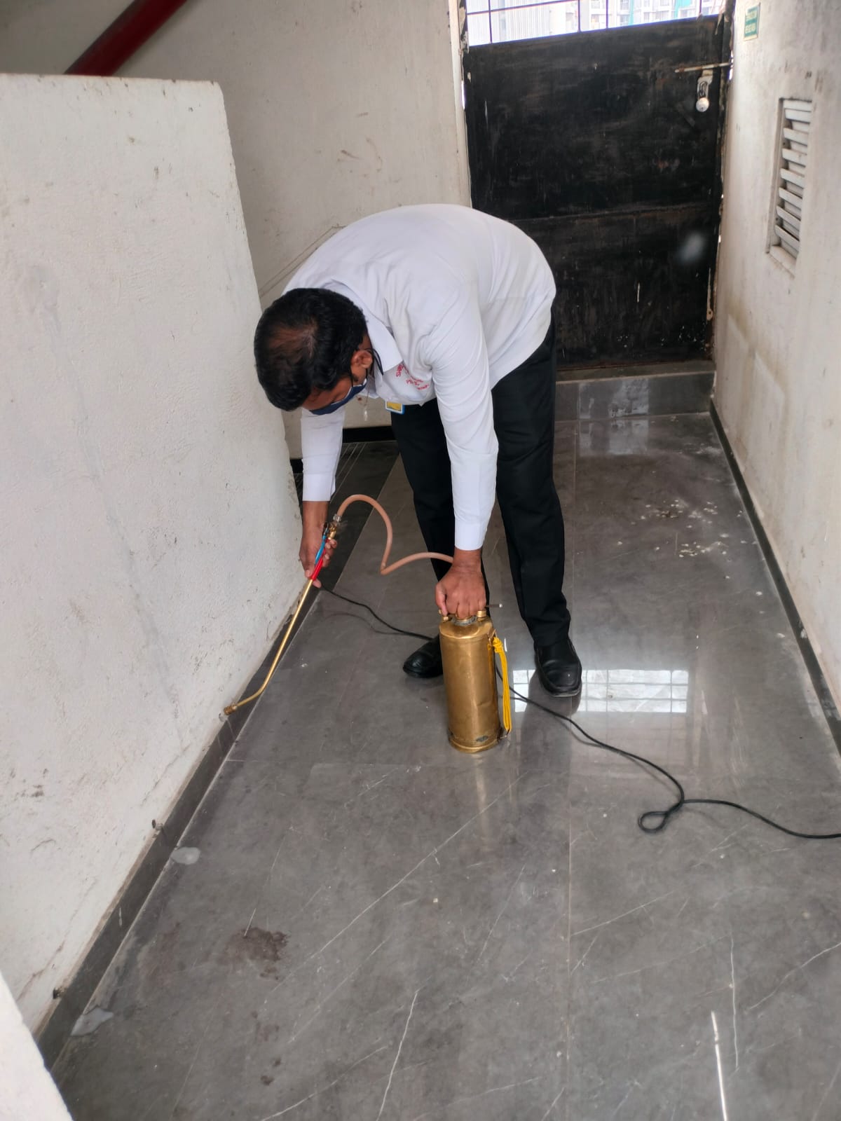 Professional Pest Control